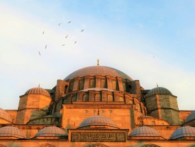 九龙禅寺后坡摄影之旅九龙禅寺后坡摄影图片